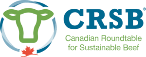 Logo du CRSB représentant la silhouette d'une tête de vache verte dans un cercle bleu, une feuille d'érable rouge et le texte « CRSB – Table ronde canadienne pour un bœuf durable ».