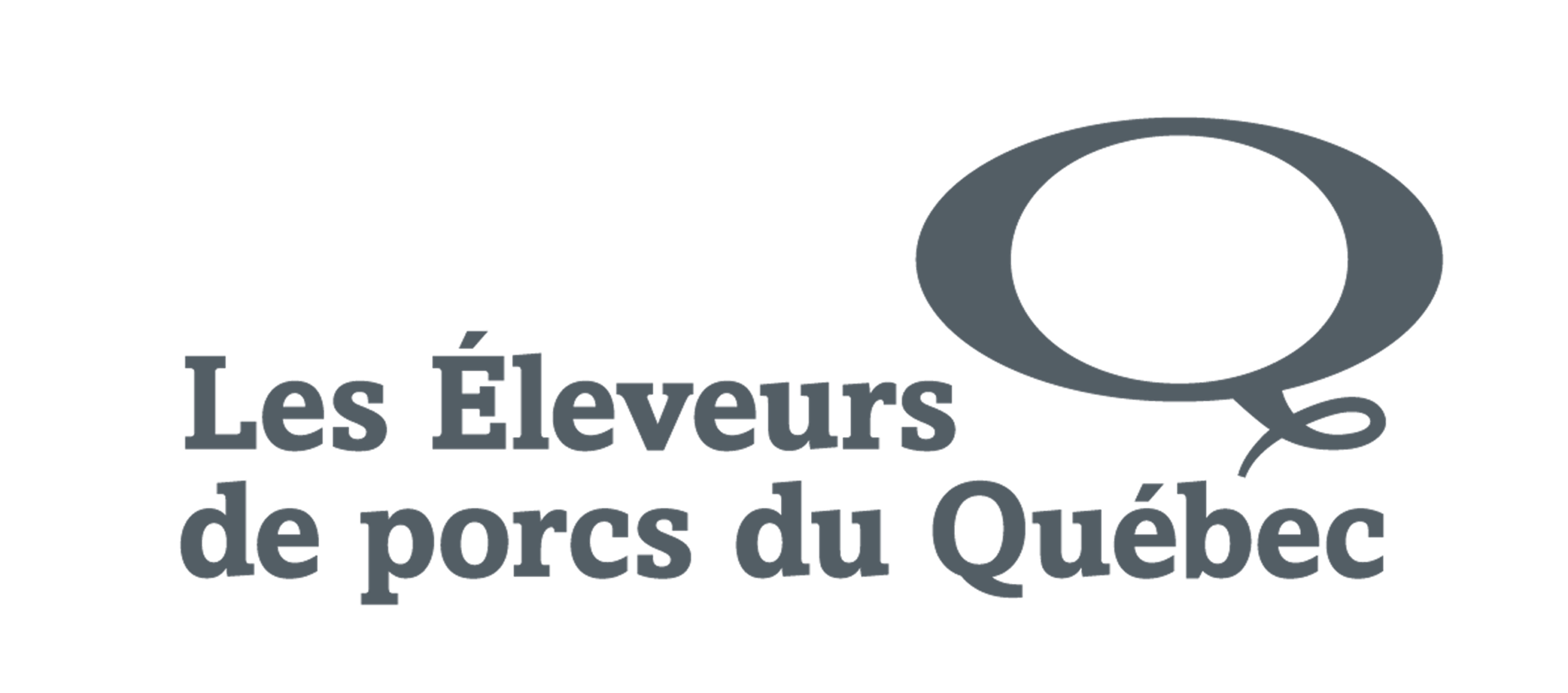 Logo de « Les Éleveurs de porcs du Québec » comportant un texte stylisé et une grande lettre « Q » artistique à droite du texte.