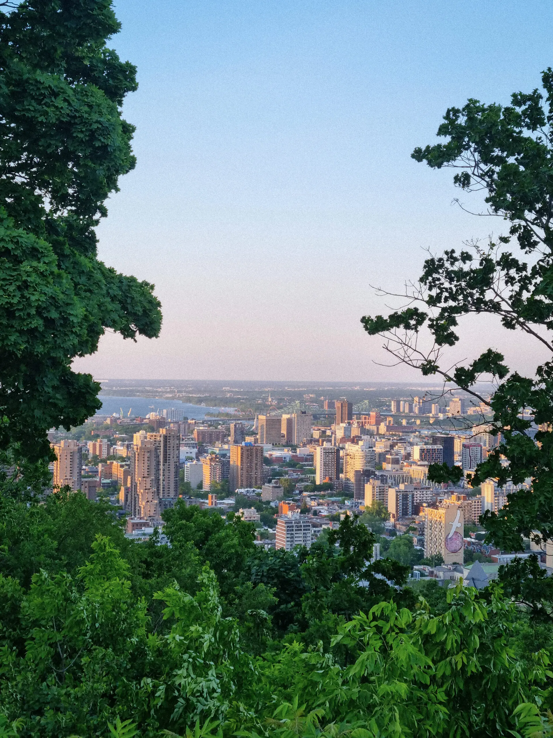 Une vue sur les toits de la ville à travers une végétation luxuriante, avec de grands immeubles se découpant sur un ciel bleu limpide en plein jour, évoquant un paysage urbain paisible niché au cœur de la nature.