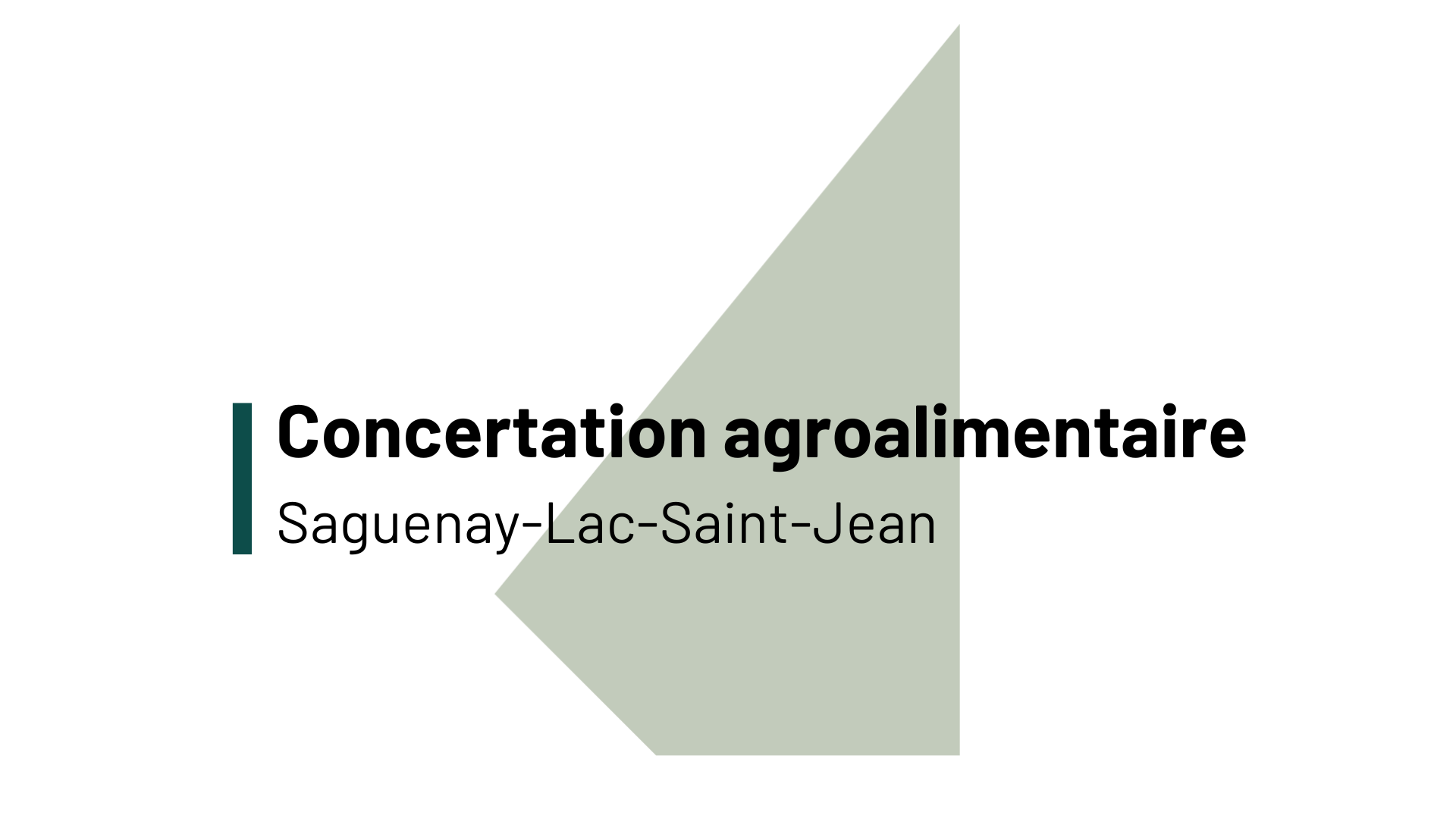 Le texte « Concertation agroalimentaire Saguenay–Lac-Saint-Jean » figure sur un fond polygonal gris clair, dans un style simple et moderne.